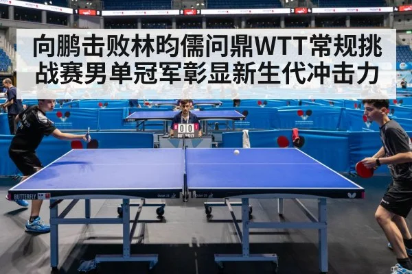 向鹏击败林昀儒问鼎WTT常规挑战赛男单冠军彰显新生代冲击力